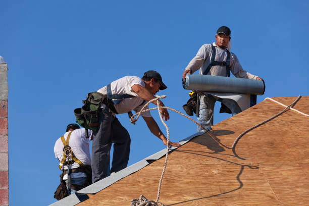 Best Roof Gutter Cleaning  in Douglass Hills, KY